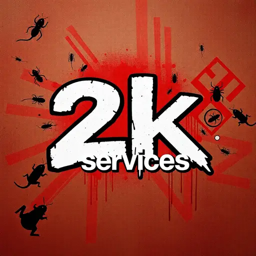 2k Services