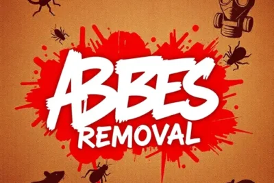 All Bees Removal