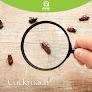 Negocio Avay Pest Control