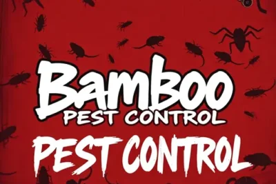 Bamboo Pest Control