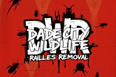 Dade City Wildlife Removal