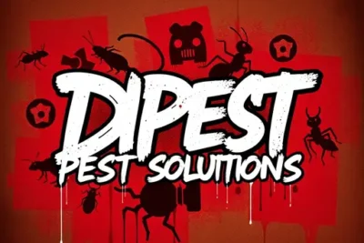 Direct Pest Solutions
