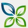 Negocio Evergreen Environmental Services