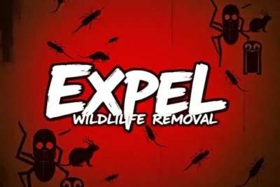 Expel Wildlife Removal