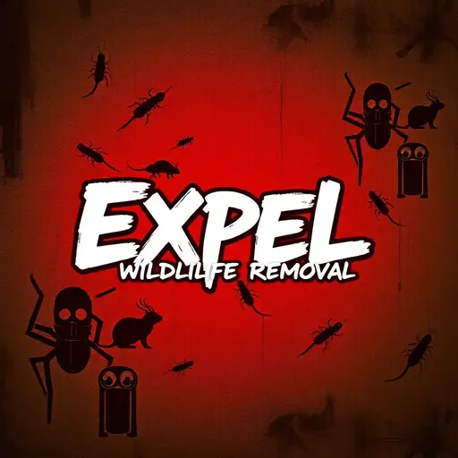 Expel Wildlife Removal
