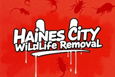 Haines City Wildlife Removal