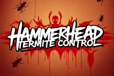Hammerhead Termite Control