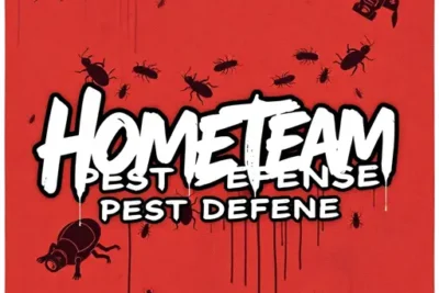 Hometeam Pest Defense