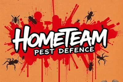 Hometeam Pest Defense