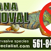 Negocio Iguana Specialist Llc