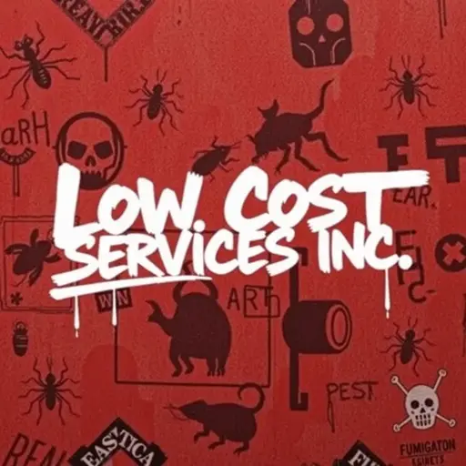 Low Cost Services Inc