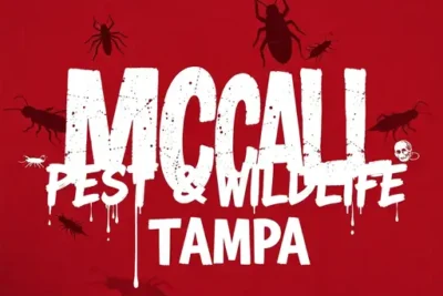 Mccall Pest & Wildlife - Tampa