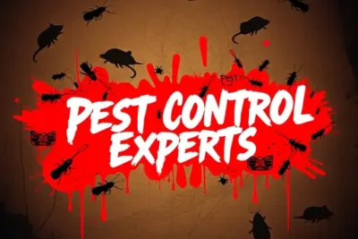 Pest Control Experts