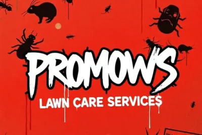 Promows Lawn Care Services