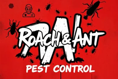 Roach & Ant Pest Control