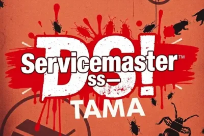 Servicemaster Dsi - Tampa
