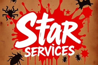 Star Services