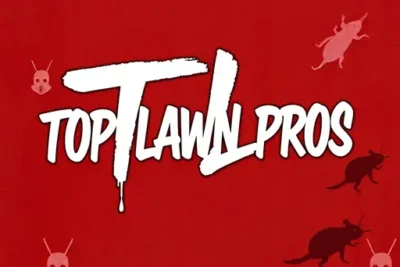 Top Lawn Pros