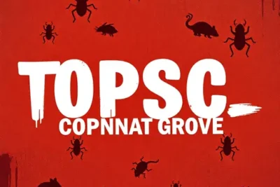 Total Pest Control Coconut Grove