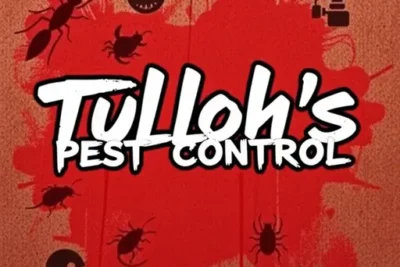 Tulloh's Pest Control