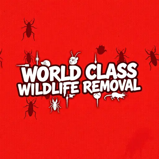 World Class Wildlife Removal & Rodent Remediation