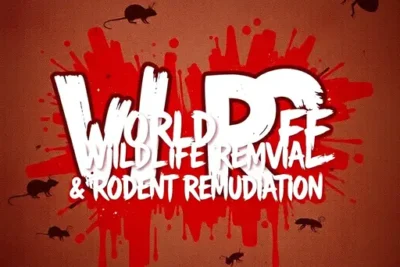World Class Wildlife Removal & Rodent Remediation