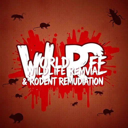 World Class Wildlife Removal & Rodent Remediation