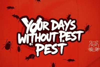 Your Days Without Pests