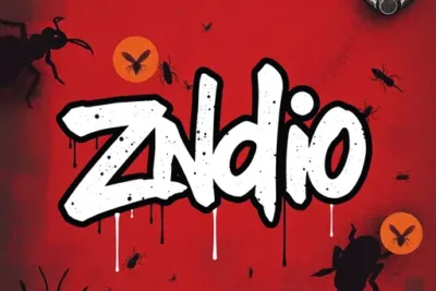Znd-io Mold Removal & Mold Remediation Service Florida City, Fl