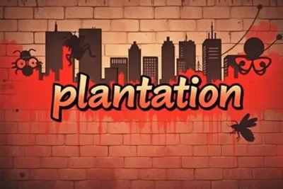 plantation