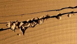 termite damage signs