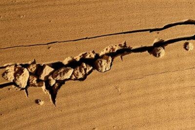termite damage signs